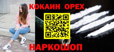 гидра Будённовск