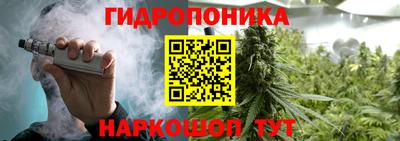 гидра Будённовск