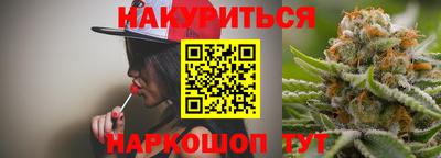 гидра Будённовск