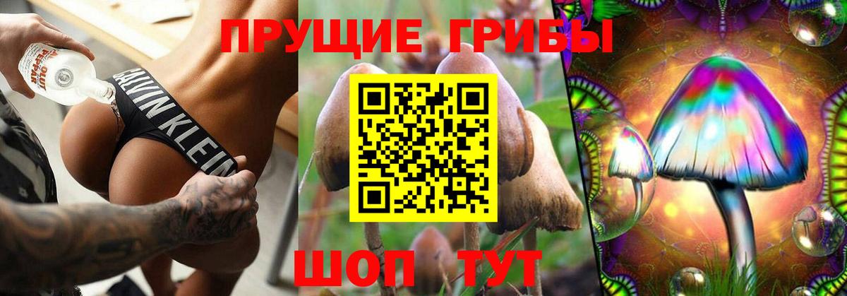 Галлюциногенные грибы Magic Shrooms Кузнецк