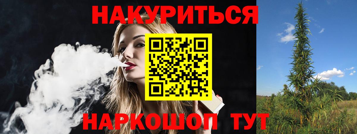 Бошки Шишки семена Кузнецк